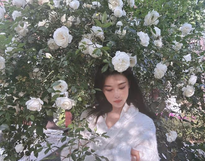 張馨予乘遊艇出海,吹海風看美景超愜意,與國旗合影好感度拉滿