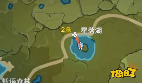 原神風車菊在哪採集 風車菊採集位置分布圖