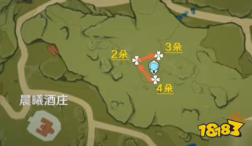 原神風車菊在哪採集 風車菊採集位置分布圖