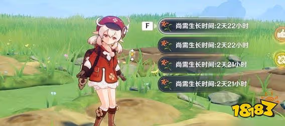 原神風車菊在哪採集 風車菊採集位置分布圖