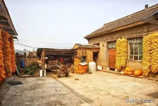 母親節當天,兒子請我和親家母吃飯,看到那一桌菜時,我明白了