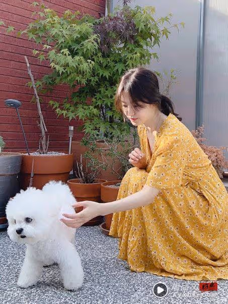Beauty潮品文/Jennie純欲感爆棚!2023韓星夏日穿搭範本