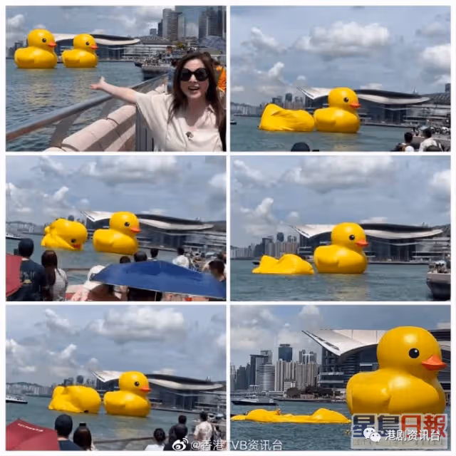李婉華評劇慘被煽動人身攻擊!直斥王晶行為賤格:不是朋友