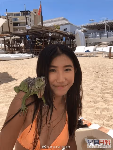 李婉華評劇慘被煽動人身攻擊!直斥王晶行為賤格:不是朋友