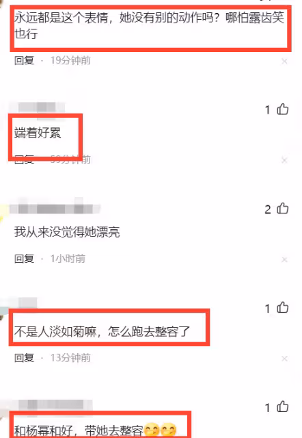 劉詩詩久違露面被說撞臉陳數 網友：人淡如菊怎麼跑去整容了