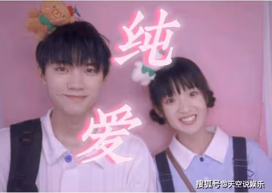 《當我飛奔向你》原著小說叫什麼名字?張陸讓什麼時候喜歡蘇在在的?