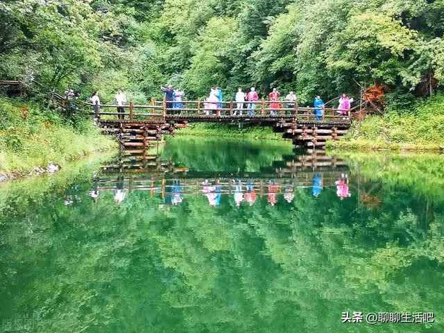 我55歲，兒孫滿堂的大伯想讓我給他養老送終，我：你兒子同意嗎？
