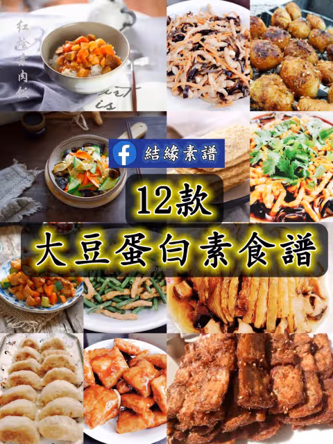 12款素食大豆拉絲蛋白吃法！炸、烤、炒、煎，怎麼做都好吃