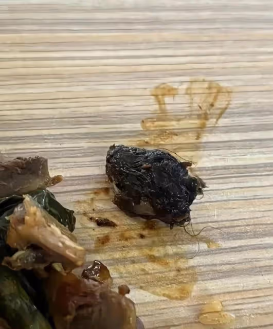反轉!官方鑑定是鼠頭,說是鴨脖的人一個都跑不了,包括那個學生
