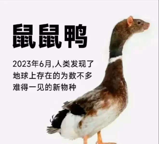 反轉!官方鑑定是鼠頭,說是鴨脖的人一個都跑不了,包括那個學生