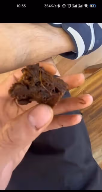 反轉!官方鑑定是鼠頭,說是鴨脖的人一個都跑不了,包括那個學生