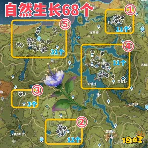 原神帕蒂沙蘭收集圖文位置 帕蒂沙蘭採集指南2023