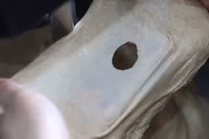 低油低糖，50%全麥核桃提子軟歐~