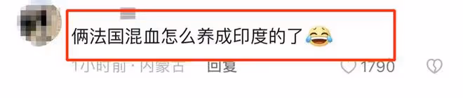 劉燁法國老婆近照滄桑變化大!逛菜場與老狼玩樂隊,兒女似印度人