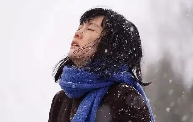 《658公里、陽子的旅途》:中年女性的勇敢救贖之旅