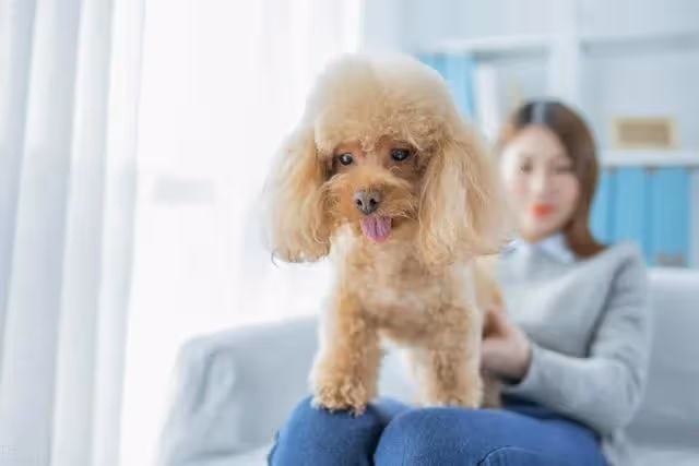 姑姑有錢時說我不如她家的狗,出事了找我借錢,一句話把她懟回去