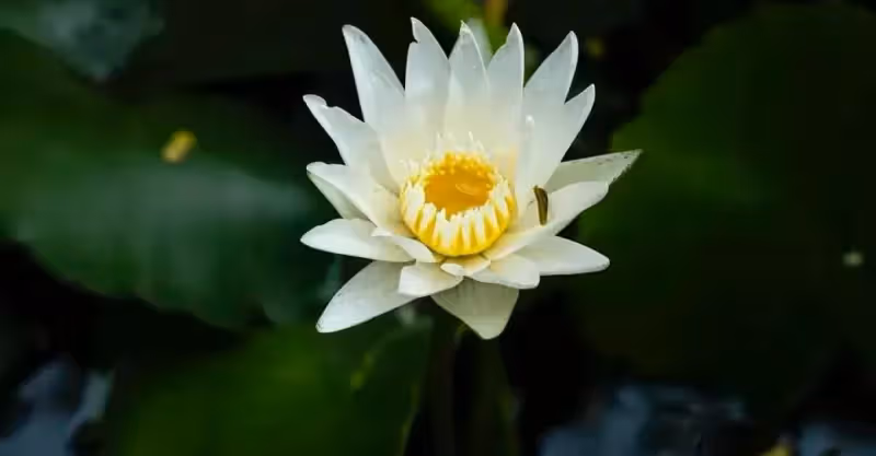 「媽，你一個人住大房子，太浪費了！不如賣掉吧！我給你租房」好