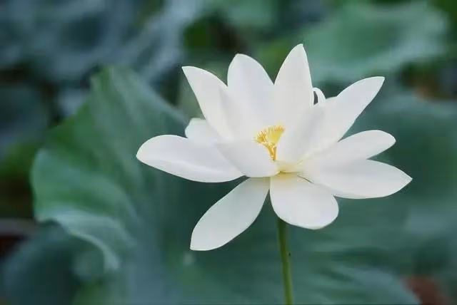 「媽,你一個人住大房子,太浪費了!不如賣掉吧!我給你租房」好