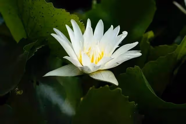 「媽,你一個人住大房子,太浪費了!不如賣掉吧!我給你租房」好