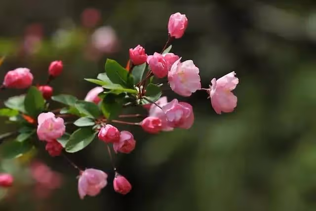 女兒結婚剛兩年,執意賣陪嫁房再換套大的,我同意後,女婿卻翻臉
