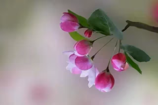 女兒結婚剛兩年,執意賣陪嫁房再換套大的,我同意後,女婿卻翻臉