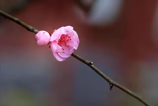 女兒結婚剛兩年,執意賣陪嫁房再換套大的,我同意後,女婿卻翻臉