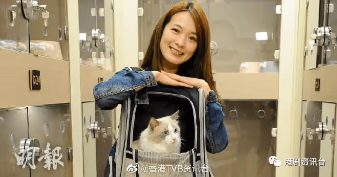 和黃宗澤不過電做兄弟！「TVB最漂亮花旦」轉戰電視上位