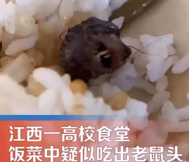 真相大白!這一次,「指鼠為鴨」的江協學局長,恐怕要倒霉了