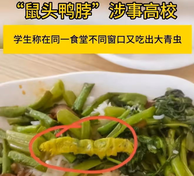 真相大白!這一次,「指鼠為鴨」的江協學局長,恐怕要倒霉了