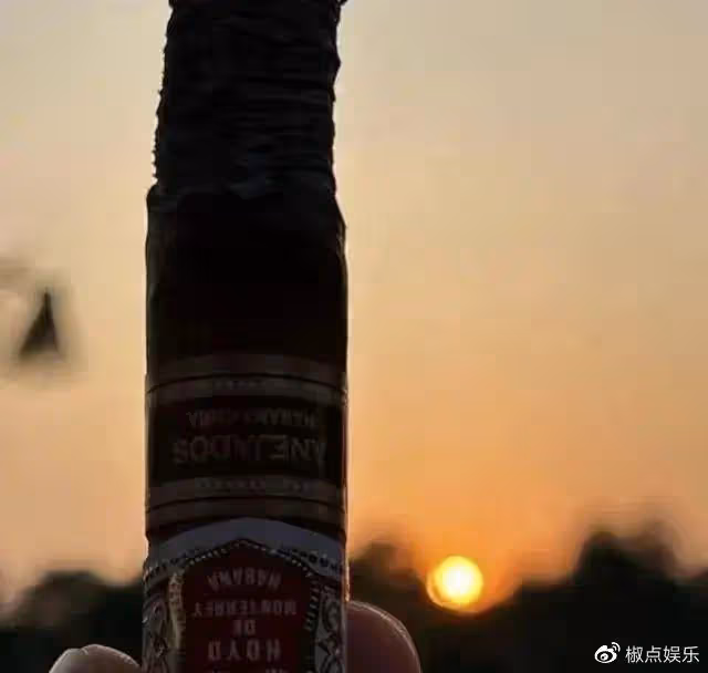 張國立兒子定居泰國!開千萬豪車抽頂級雪茄,近照滄桑頹廢狀態很差