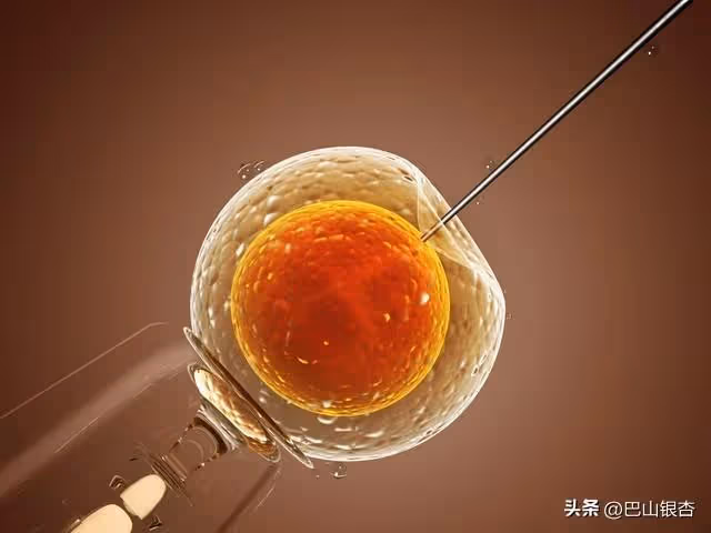 准婆婆給10萬叫我別嫁她渣兒子,我不聽,22年後我比婆婆母親還老