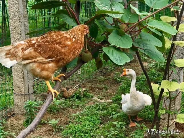 哥嫂從我家接走癱瘓15年的母親,一個月後去世,大家都說哥嫂孝敬