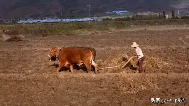 哥嫂從我家接走癱瘓15年的母親,一個月後去世,大家都說哥嫂孝敬