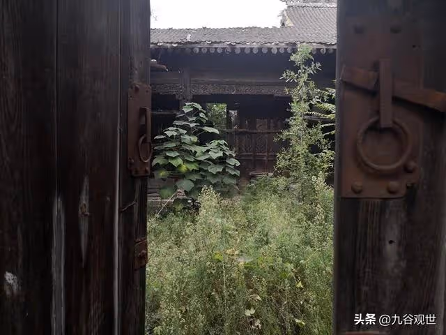為爭奪房子,父親被大伯趕出家門30年,再回老家,老宅子雜草叢生