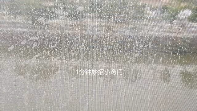 原來清洗紗窗這麼簡單,不用拆卸清洗,一點灰塵都不留,方便實用