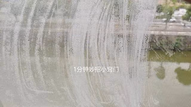 原來清洗紗窗這麼簡單,不用拆卸清洗,一點灰塵都不留,方便實用