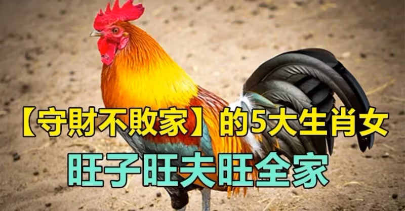 「守財不敗家」的5大女生肖！持家有道、溫柔可愛　旺子旺夫旺全家