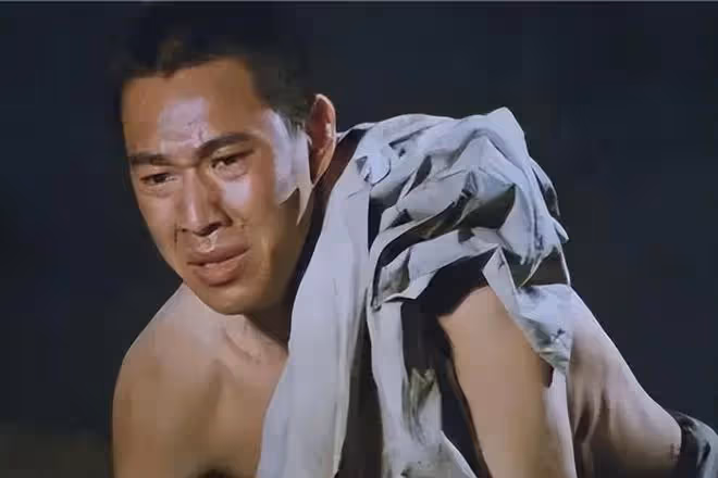 嫁給張豐毅29年不生孩子,卻依舊被他寵成寶,霍凡到底有啥魅力?