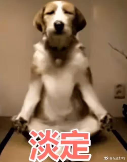 1000年前的人有多開放?穿泳衣戴草帽,潮起來都讓人流口水