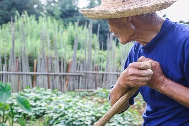端午要到了 !大嫂請我回老家「買100斤荔枝寄給她」 看到她轉賬我拒收「而是發了一段訊息」心酸了起來