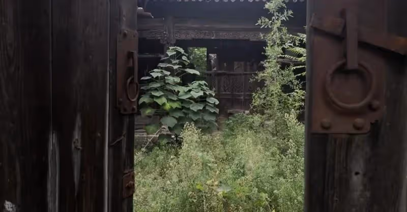 為爭奪房子, 父親被大伯趕出家門30年,再回老家,老宅子雜草叢生!