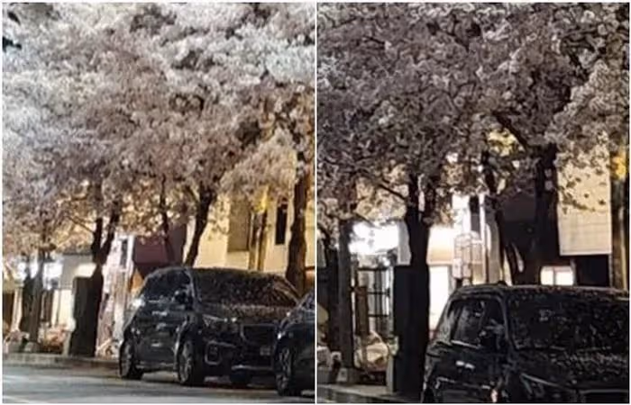 BLACKPINK Lisa和NCT泰容的愛情疑雲?韓網友調侃稱,不在同個級別