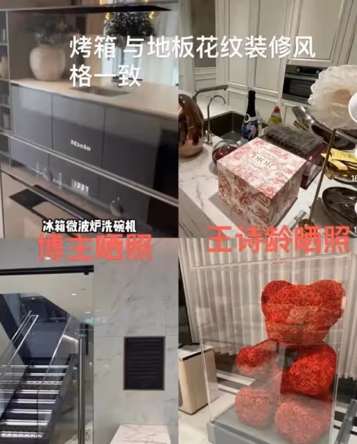 李湘:英國千萬豪宅被曝光,王岳倫只能住酒店,王詩齡未成年喝酒