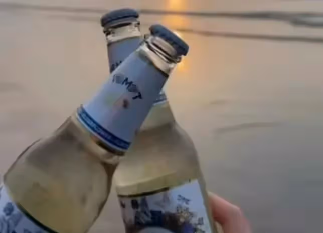 李湘:英國千萬豪宅被曝光,王岳倫只能住酒店,王詩齡未成年喝酒