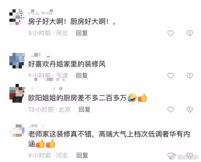 歐陽夏丹疑似已離婚!離開央視轉行做網紅,豪宅曝光廚房就值200W