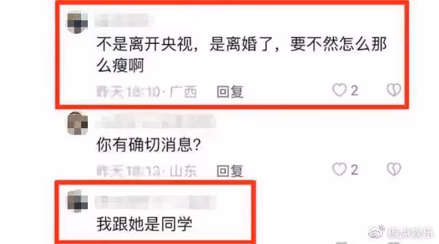 歐陽夏丹疑似已離婚!離開央視轉行做網紅,豪宅曝光廚房就值200W