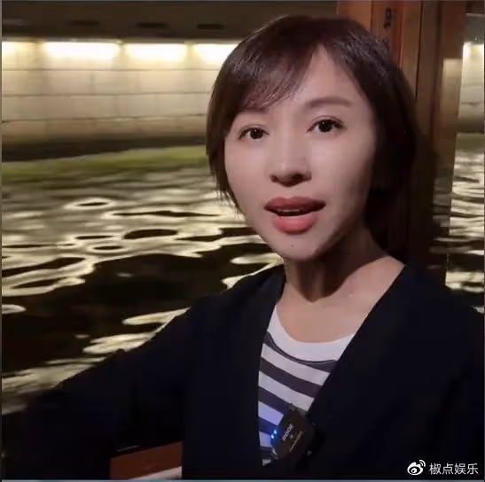 歐陽夏丹疑似已離婚!離開央視轉行做網紅,豪宅曝光廚房就值200W