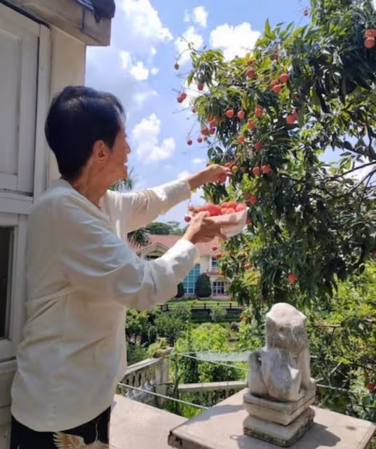 金碧輝煌!港知名反派曬內地別墅全屋猶如宮殿,未有娶妻一直獨居