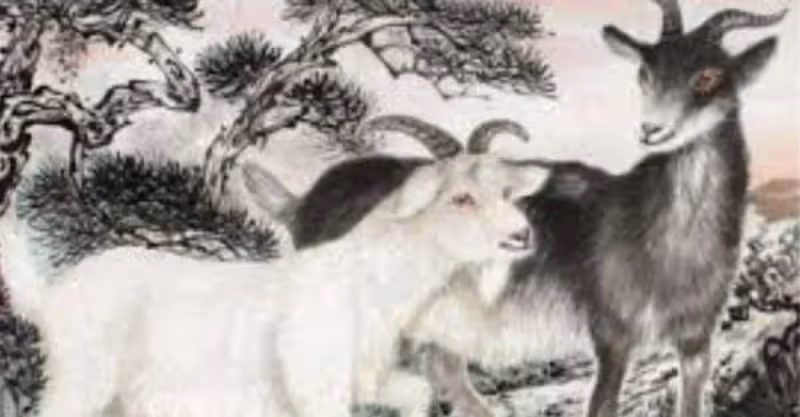 屬羊人： 「最苦命」和「最好命」的出生月份！大家都說準