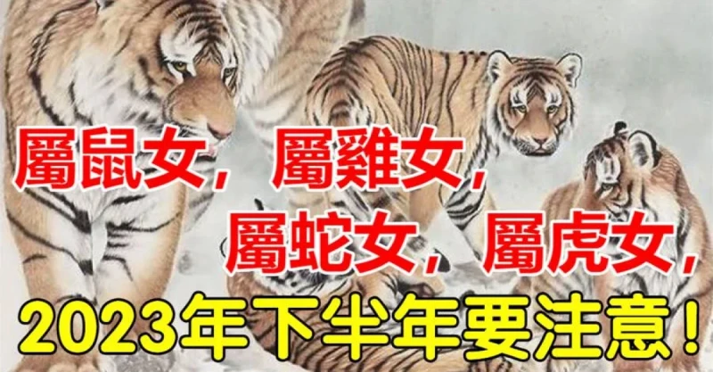 屬鼠女,屬雞女,屬蛇女,屬虎女,2023年下半年要注意!